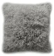 罗马塔利亚僵持不下，平局分将来归